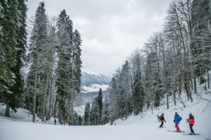 snow, skiing, people